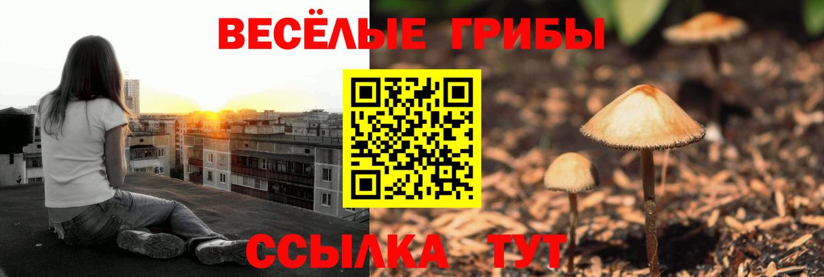 Галлюциногенные грибы ЛСД  Вход с VPN  Саянск 